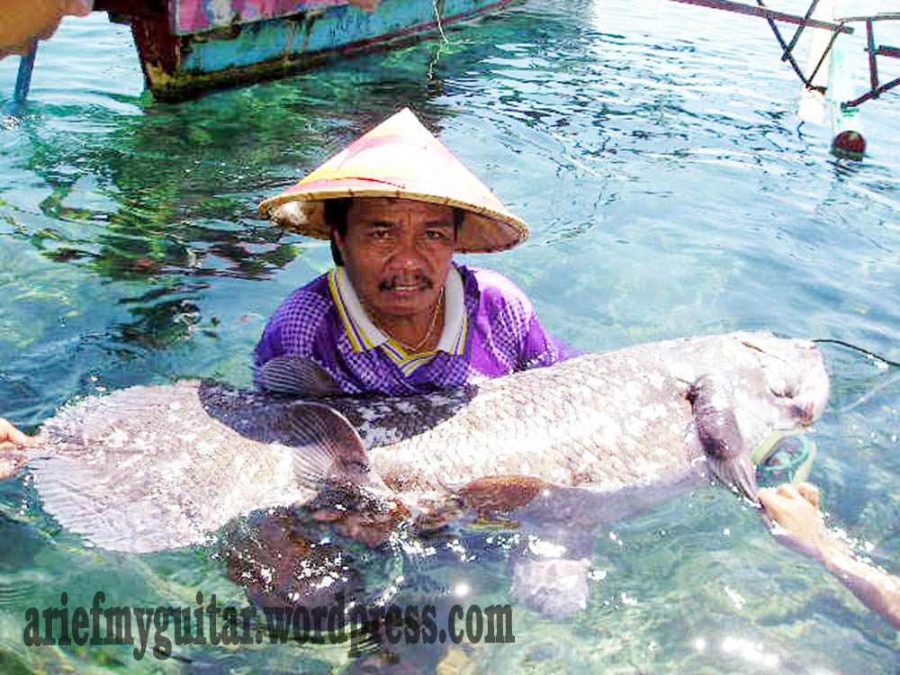  Ikan Purba Arief blog
